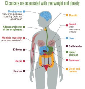 Cancer Obestity Connection CDC